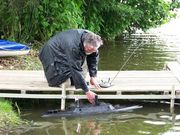 Soutěžní fotografie pro 20. kolo