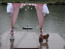 Jako fotorámeček pro můj Saturn to není špatné, že?