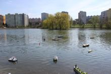 Na vodě se to hemžilo.