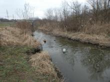 Nad poldrem se rychle objevila bujná vegetace.