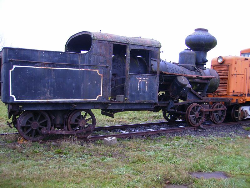 19