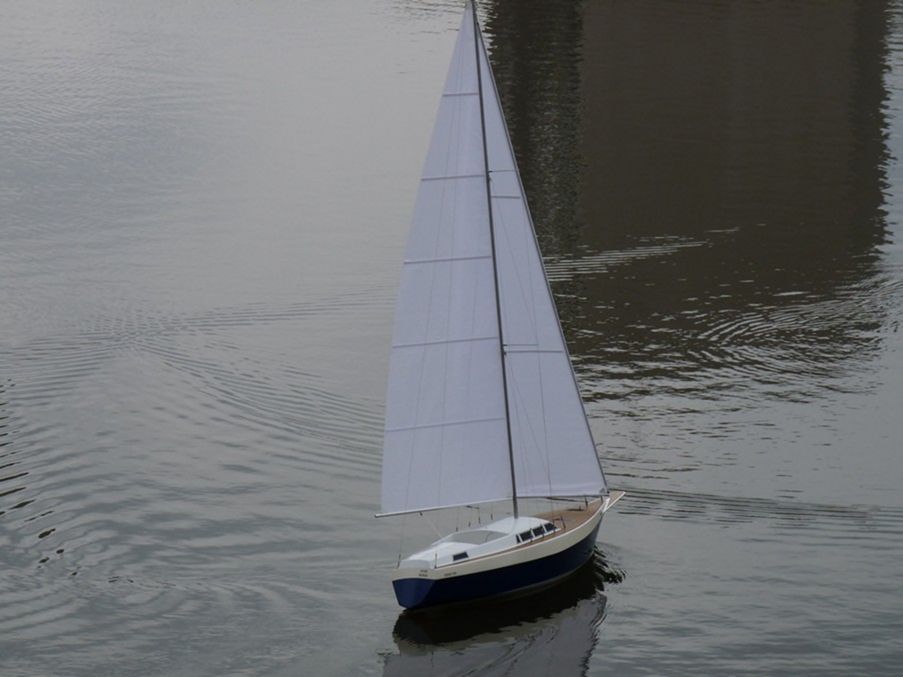 31