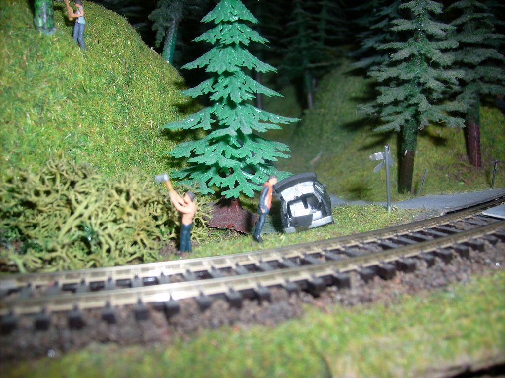 80