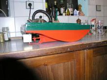 springer